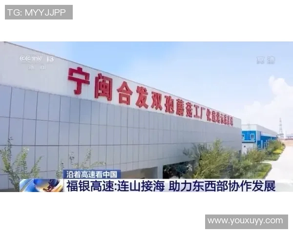 王者荣耀V5战队协作分析与策略探讨助力团队胜利